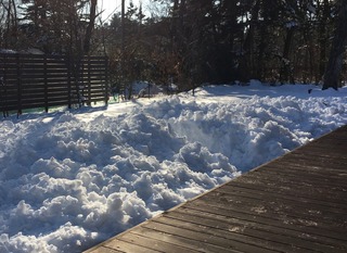 snow(1/19).jpg