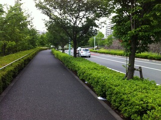 WakabadaiStreet.jpg