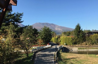 IMG_8225.jpg