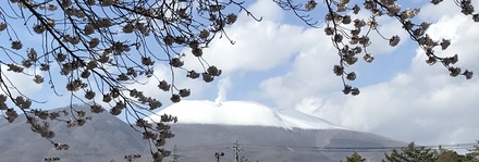 Mt. Asama with smoke 2.jpeg