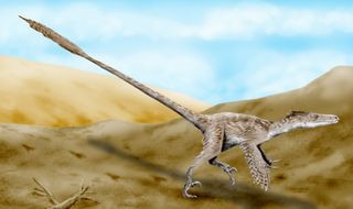 Velociraptor_mongoliensis.jpg