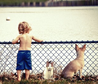 kid-cat-dog.jpg