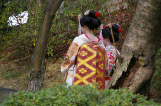 maiko.jpg